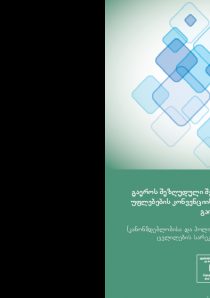 გაეროს შეზღუდული შესაძლებლობის მქონე პირთა უფლებების კონვენციის (UNCRPD) იმპლემენტაციის გაიდლაინი