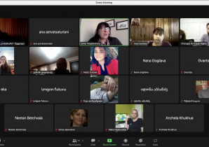 Online meetings with non-governmental organizations working on the topic of persons with disabilities in Samegrelo